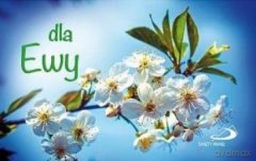 Imiona - Dla Ewy [KSIĄŻKA]
