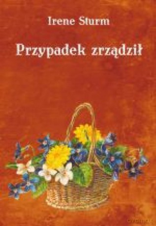 Przypadek zrządził - Irene Sturm [KSIĄŻKA]