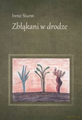 Zbłąkani w drodze - Irene Sturm [KSIĄŻKA]