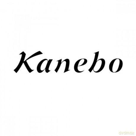 Kanebo Sensai Cellular Performance Extra Intensive Recovery Ampoule Treatment 2ml X 14 Pz [KOSMETYKI]