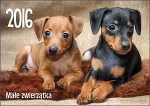 Kalendarz Małe zwierzatka [KALENDARZ]
