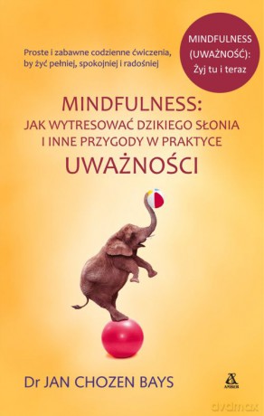 Mindfulness. Jak wytresować dzikiego słonia i inne przygody w praktyce uważności - Jan Chozen Bays [KSIĄŻKA]