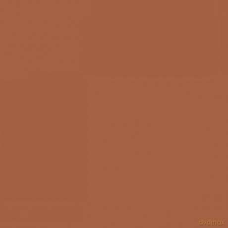 PACTRA Farba A17 wood tan (G) 6 szt MODELARSTWO