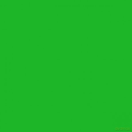 PACTRA Farba A81 hellgrun 6 szt MODELARSTWO