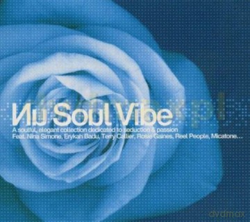 Various Artists: Nu Soul Vibe [CD]