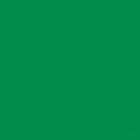 PACTRA Farba A11 Green(G) 6 szt [MODELARSTWO]
