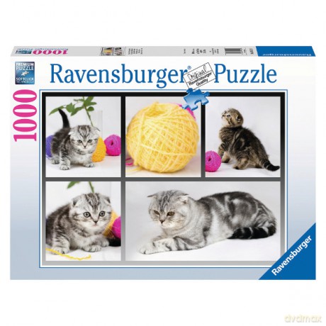 RAVENSBURGER 1000 el. Brytyjskie koty [PUZZLE]