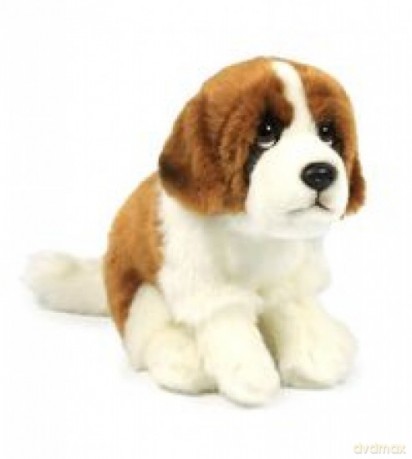 Bernardyn 19 cm
