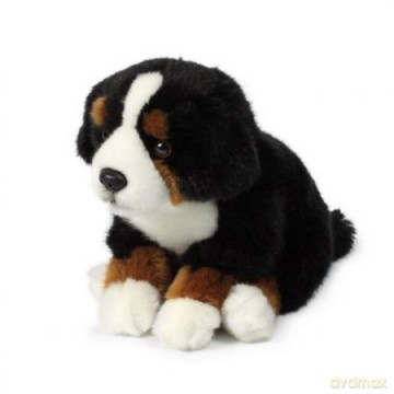 Bernardyn 20 cm