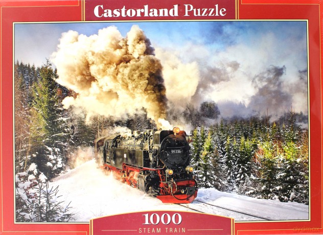 CASTORLAND 1000 el. Kolej parowa [PUZZLE]