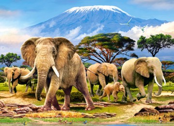 CASTORLAND 300 el. Poranek na Kilimandżaro [PUZZLE]