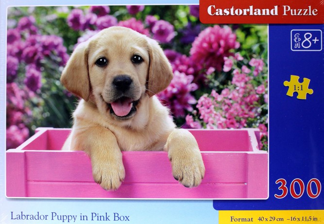 CASTORLAND 300 el. Sczenię Labrador w różowym pudle [PUZZLE]