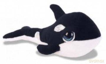 Delfin Calypso