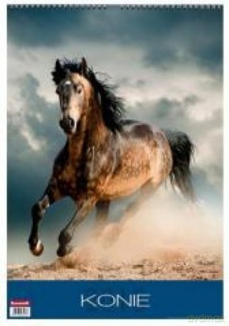 Kalendarz 2016 13PL 290x420 Konie [KALENDARZ]