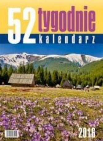Kalendarz 2016 Biurkowy - 52T Górska polana [KALENDARZ]