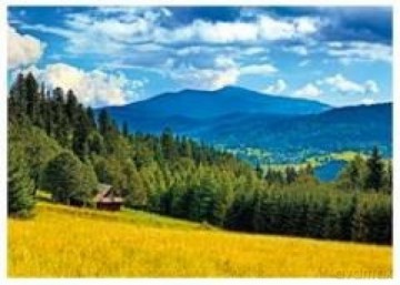Kalendarz 2016 Trójdzielny Górska Łąka GD844 [KALENDARZ]