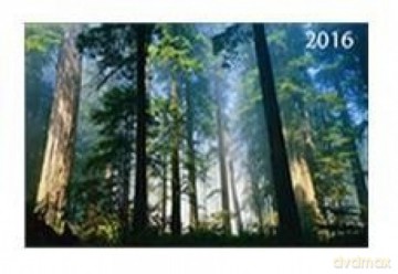 Kalendarz 2016 Trójdzielny Las [KALENDARZ]