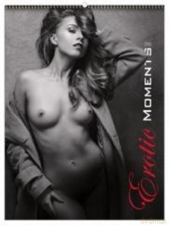 Kalendarz 2017 Wieloplanszowy Erotic Moments [KALENDARZ]