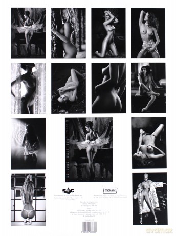 Kalendarz 2017 Wieloplanszowy Erotic Moments [KALENDARZ]