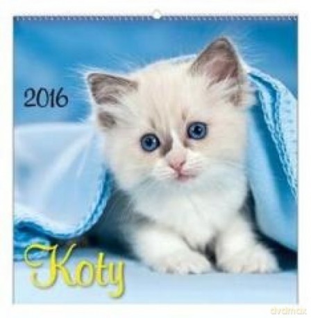 Kalendarz 2016 Wieloplanszowy Koty [KALENDARZ]