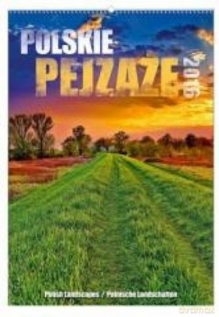 Kalendarz 2016 Wieloplanszowy Polskie Pejzaże [KALENDARZ]