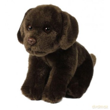 Labrador brązowy 20 cm