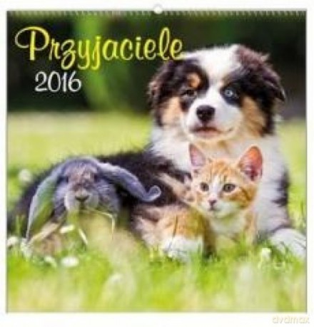 Przyjaciele [KALENDARZ]