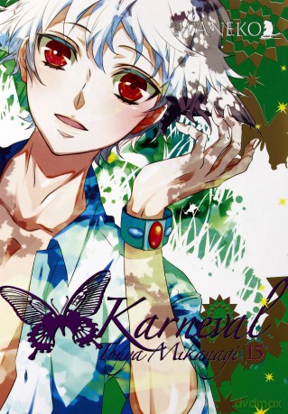 Karneval (Tom 15) - Touya Mikanagi [KOMIKS]