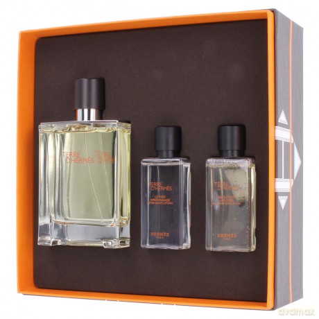 Hermes Terre d Hermes Zestaw Woda toaletowa 100 ml spray + balsam po goleniu 40 ml + żel pod prysznic 40 ml