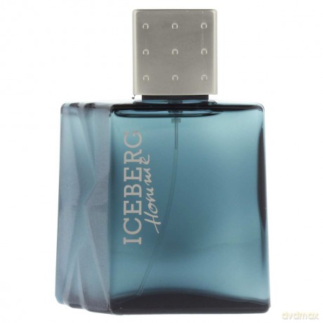 Iceberg Homme Woda toaletowa 100 ml spray
