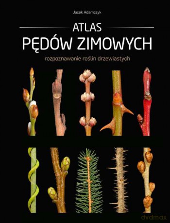 Atlas pędów zimowych - Jacek Adamczyk (twarda) [KSIĄŻKA]