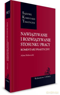 Nawiązanie i rozwiązanie stosunku pracy. Komentarz praktyczny (twarda) [KSIĄŻKA]