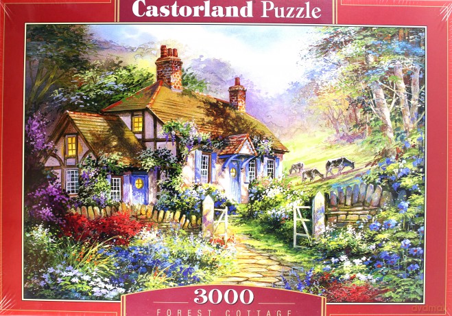CASTOR 3000 el. Domek w lesie [PUZZLE]