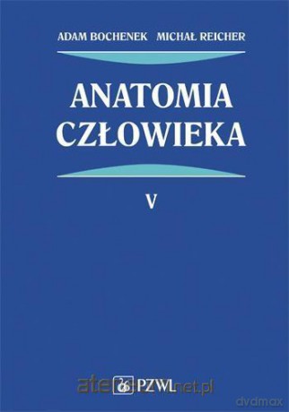 Anatomia człowieka (Tom 5) - Adam Bochenek, Michał Reicher [KSIĄŻKA]