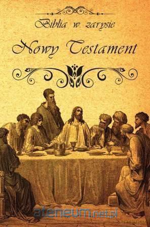 Biblia w zarysie. Nowy Testament [KSIĄŻKA]