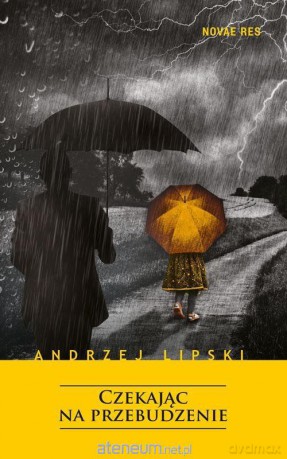 Czekając na przebudzenie - Andrzej Lipski [KSIĄŻKA]