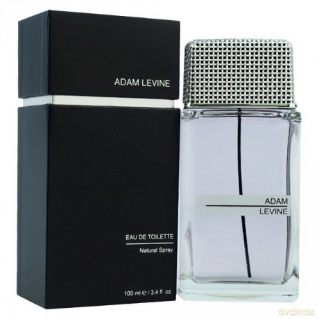 Adam Levine Woda toaletowa dla mężczyzny 100 ml