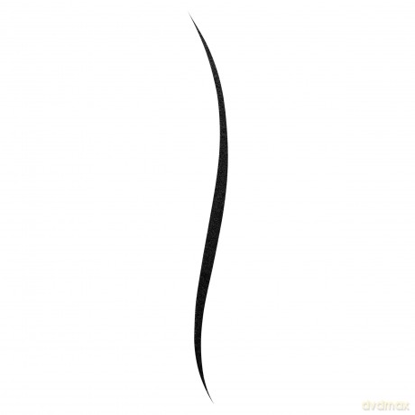 Bourjois Liner Pinceau Liquid EyeLiner 32 Noir Beaux-Arts 2,5 ml