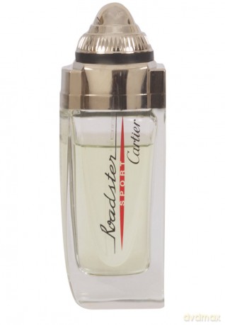 Cartier Roadster Woda toaletowa dla mężczyzny 100 ml