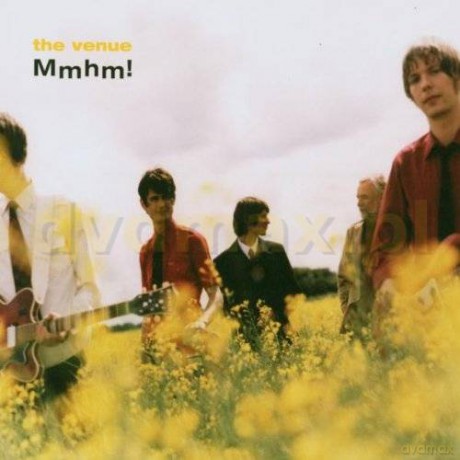 The Venue: Mmhm! [CD]