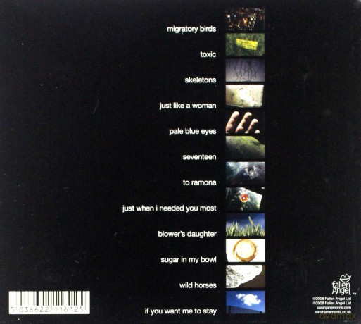Sarah Jane Morris: Migratory Birds (digipack) [CD]