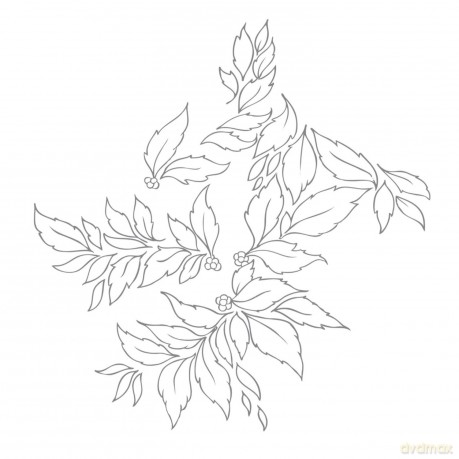 Nhor: Momenta Quintae Essentiae (digipack) [CD]