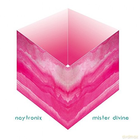 Naytronix: Mister Divine [CD]
