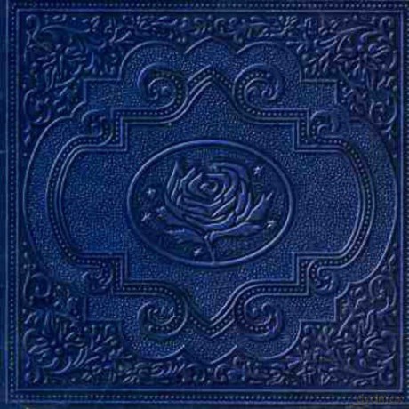 Ryan Adams: Cold Roses [2CD]