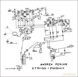 Andrew Pekler: Strings+Feedback [CD]