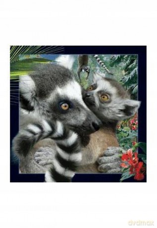 Magnes 3D Lemur