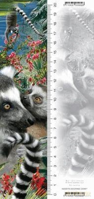 Zakładka 3D Lemur