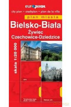 Plan Miasta EuroPilot. Bielsko-Biała