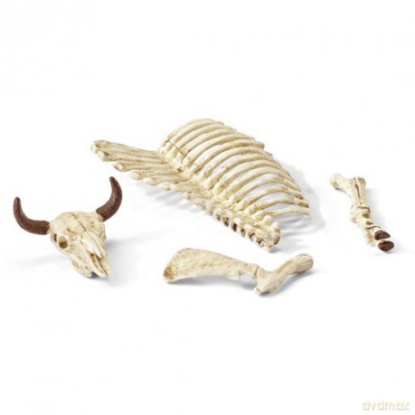 SCHLEICH Kości