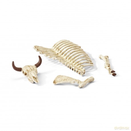 SCHLEICH Kości